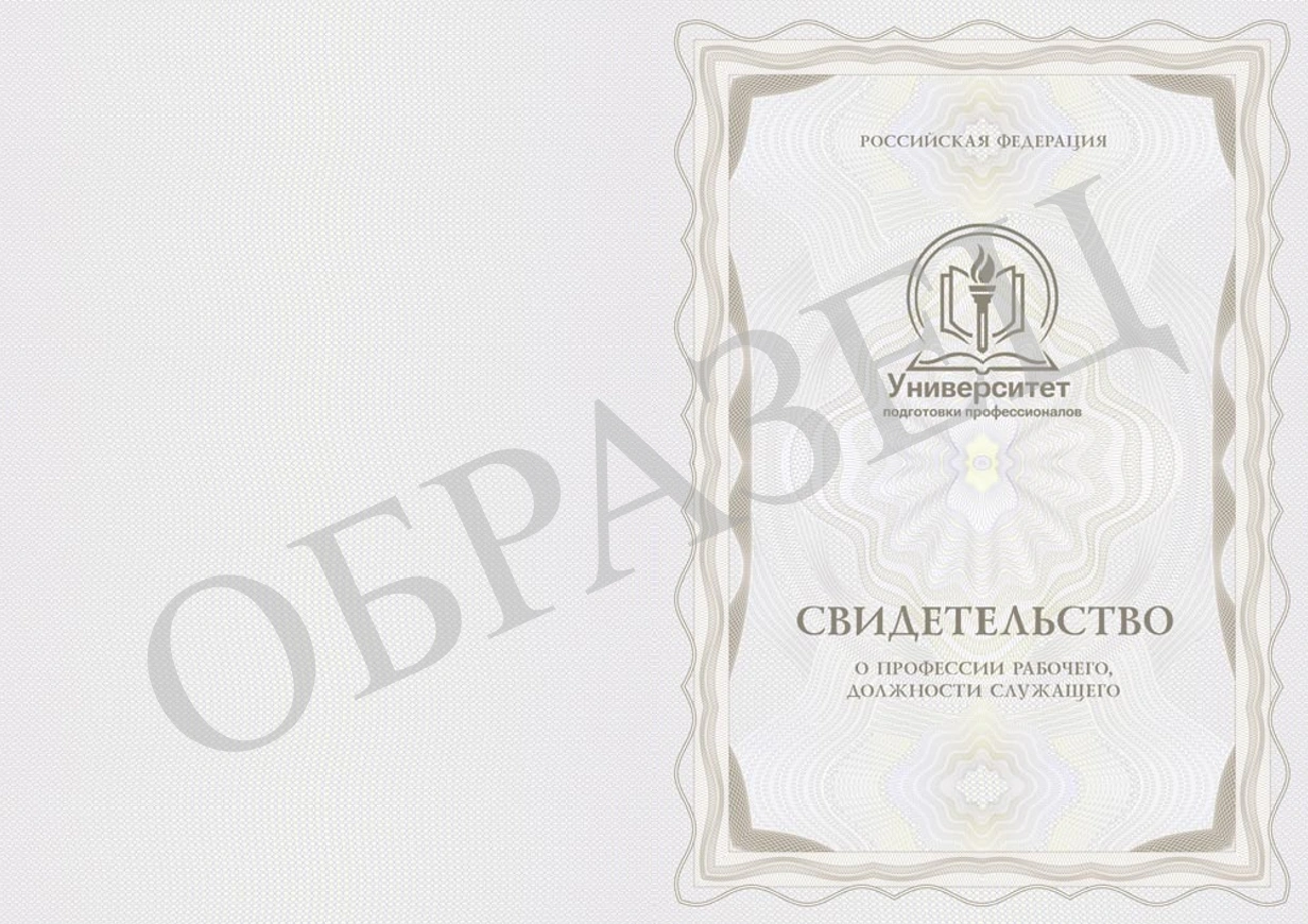 Образец Свидетельство о профессии рабочего, должности служащего 1